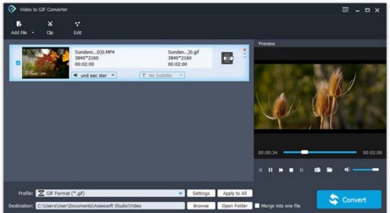 Screenshot 1 for Aiseesoft Free Video to GIF Converter