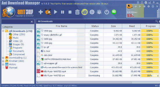 Screenshot 2 for Ant Download Manager