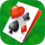 BVS Solitaire Collection Icon