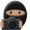 Photo Ninja Icon