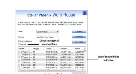 Screenshot 2 for Stellar Repair for Word